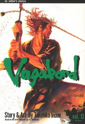 Book cover for Vagabond, Volume 13