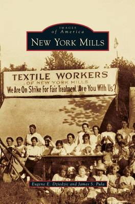 Book cover for New York Mills