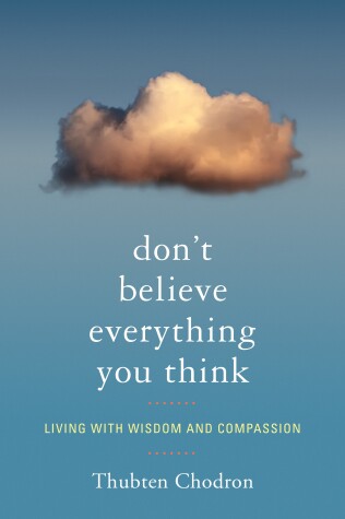 Book cover for Don't Believe Everything You Think