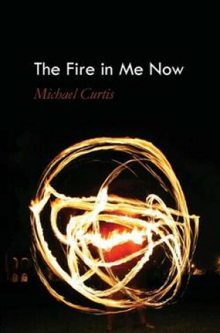 Cover of The Fire in Me Now