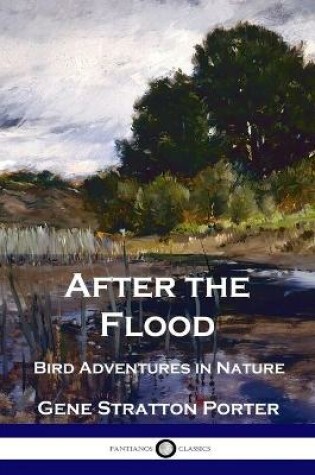 Cover of After the Flood