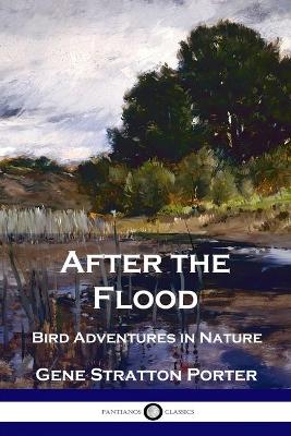 Book cover for After the Flood