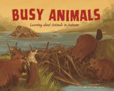 Book cover for Busy Animals