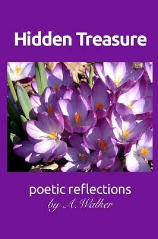 Cover of Hidden Treasure