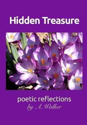 Book cover for Hidden Treasure