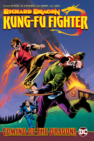 Book cover for Richard Dragon, Kung Fu Fighter: Coming of the Dragon!