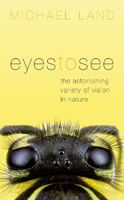 Book cover for Eyes to See