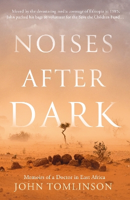 Book cover for Noises After Dark