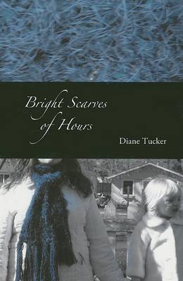 Book cover for Bright Scarves of Hours