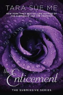 Book cover for The Enticement