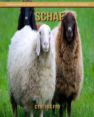 Book cover for Schaf