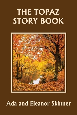 Book cover for The Topaz Story Book (Yesterday's Classics)