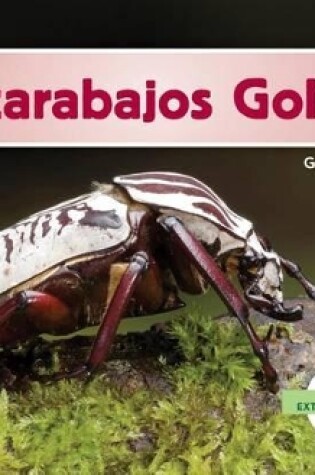 Cover of Escarabajos Goliat (Goliath Beetles) (Spanish Version)