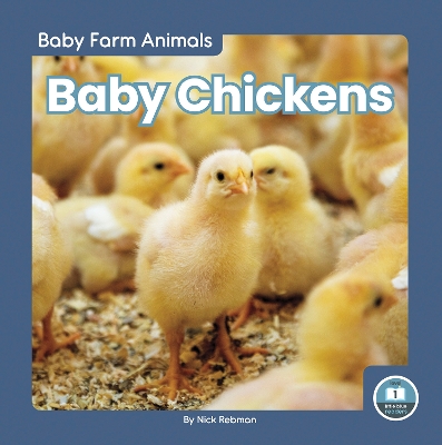 Book cover for Baby Chickens