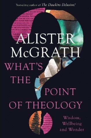 Cover of What's the Point of Theology?