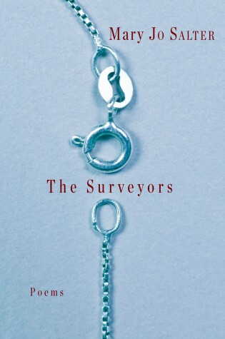 Cover of The Surveyors