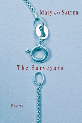 Book cover for The Surveyors