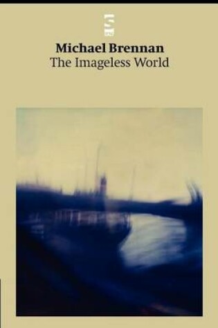 Cover of The Imageless World