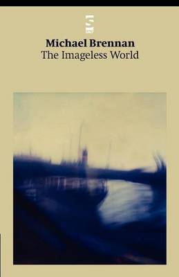 Book cover for The Imageless World