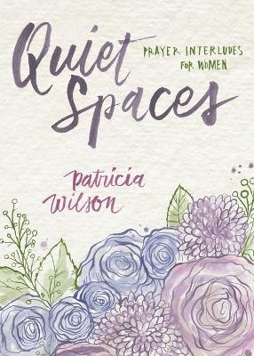 Book cover for Quiet Spaces