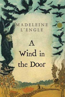 Book cover for A Wind in the Door