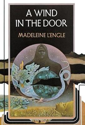 Book cover for A Wind in the Door