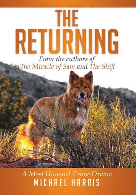 Book cover for The Returning