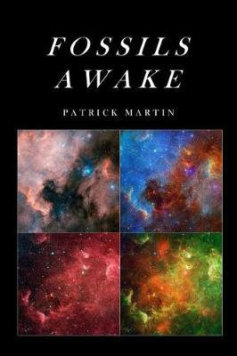 Book cover for Fossils Awake