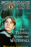 Book cover for Tunnel Behind The Waterfall