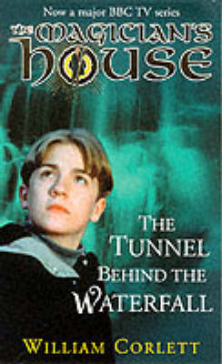 Book cover for Tunnel Behind The Waterfall