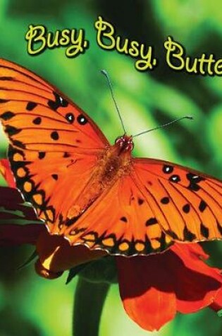 Cover of Busy, Busy Butterfly