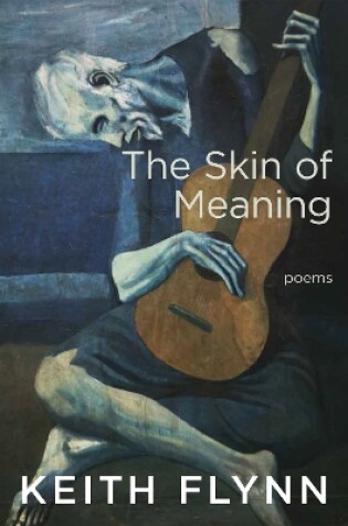 Cover of The Skin of Meaning