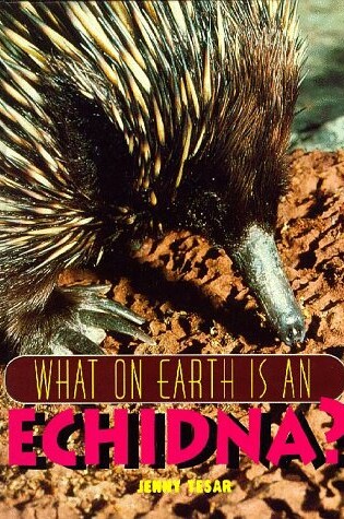 Cover of What on Earth is an Echidna?