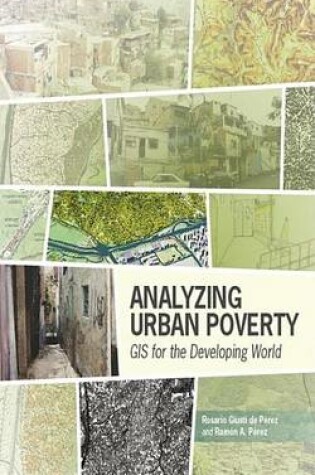 Cover of Analyzing Urban Poverty