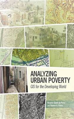 Book cover for Analyzing Urban Poverty