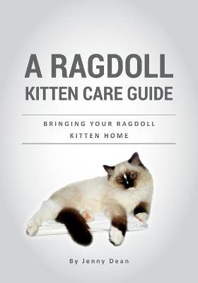 Book cover for A Ragdoll Kitten Care Guide