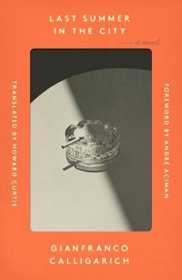 Cover of Last Summer in the City