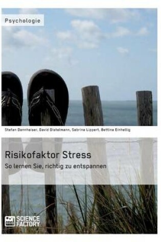 Cover of Risikofaktor Stress. So lernen Sie, richtig zu entspannen