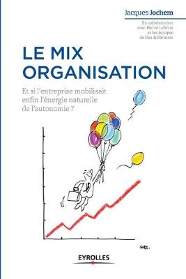 Book cover for Le mix organisation