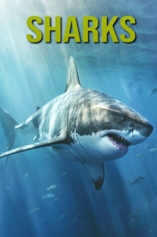 Cover of Sharks