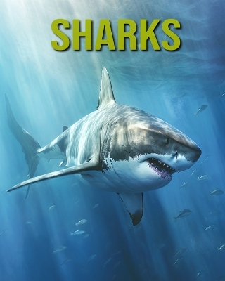 Book cover for Sharks