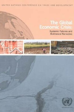 Cover of The global economic crisis