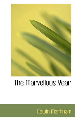 Book cover for The Marvellous Year
