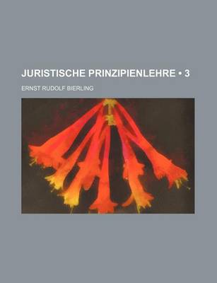 Book cover for Juristische Prinzipienlehre (3)