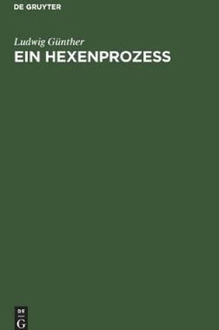 Cover of Ein Hexenprozess