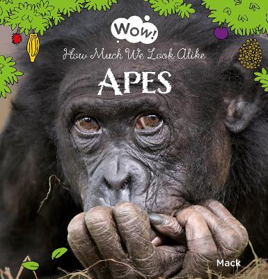 Book cover for Wow! Apes. How Much We Look Alike