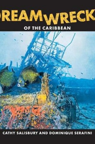 Cover of DreamWrecks of the Caribbean