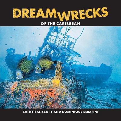 Book cover for DreamWrecks of the Caribbean