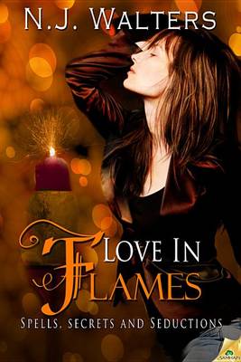 Cover of Love in Flames