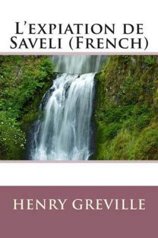 Cover of L'Expiation de Saveli (French)